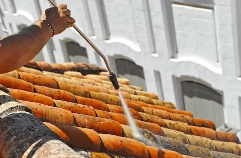 Nettoyage de toitures - Bransles